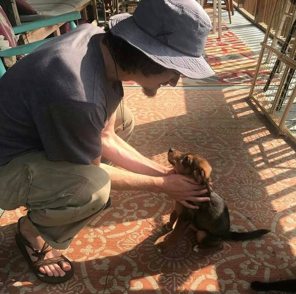 Meet your Posher, Gavin - Picture 1 of 1